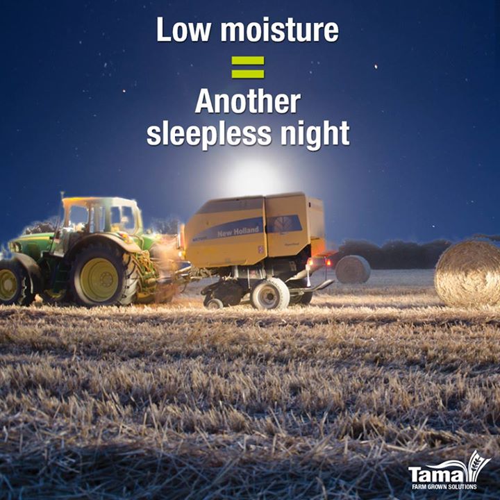 Low moisture