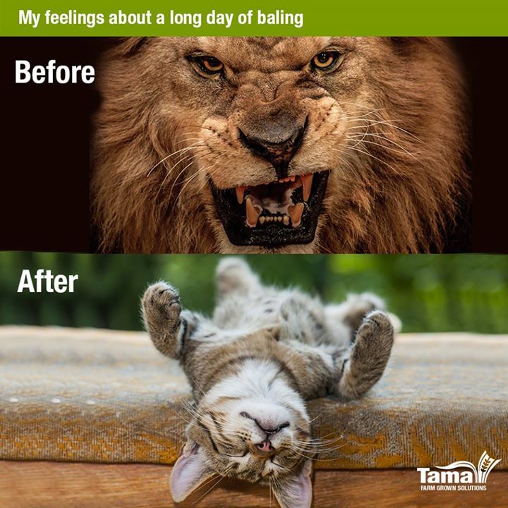 My feelings about a long day of baling