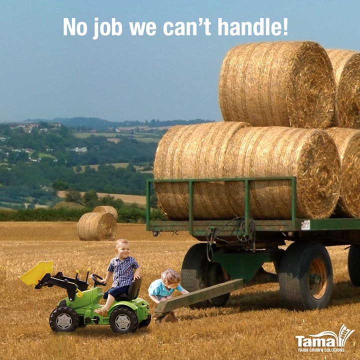No job we can't handle!