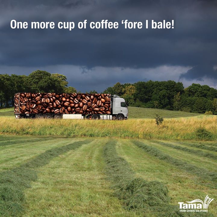 One more cup of coffee 'fore I bale