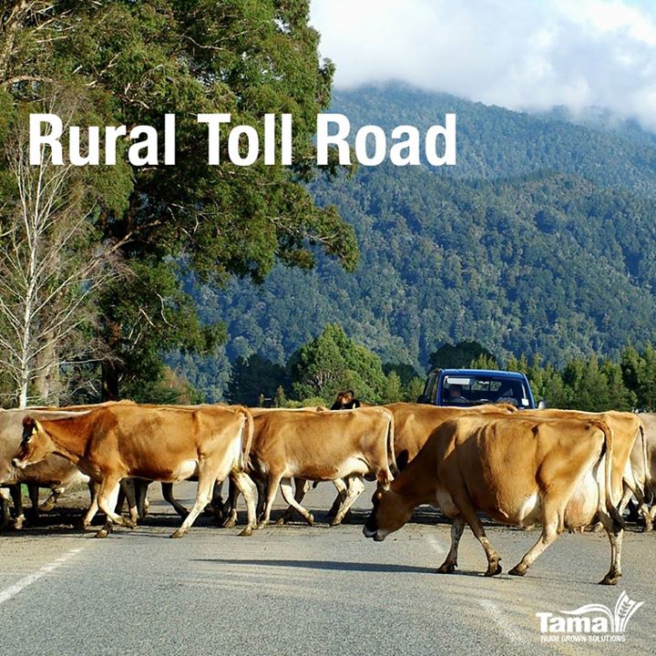 Rural Toll Road