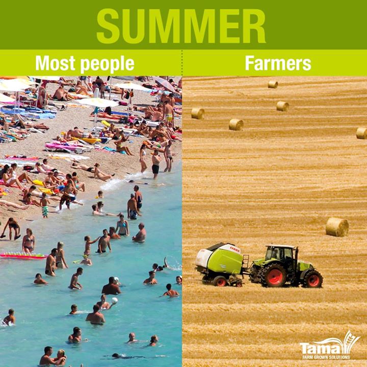 Summer