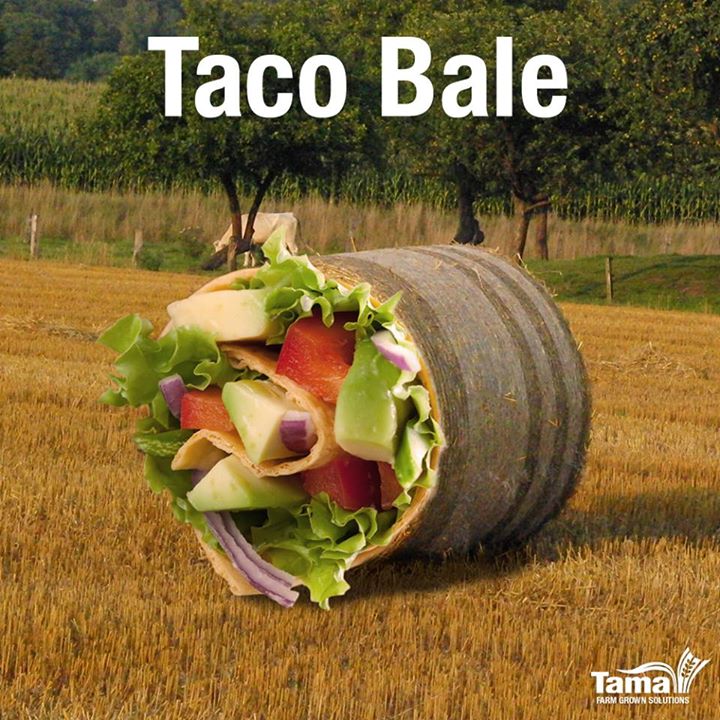 Taco Bale