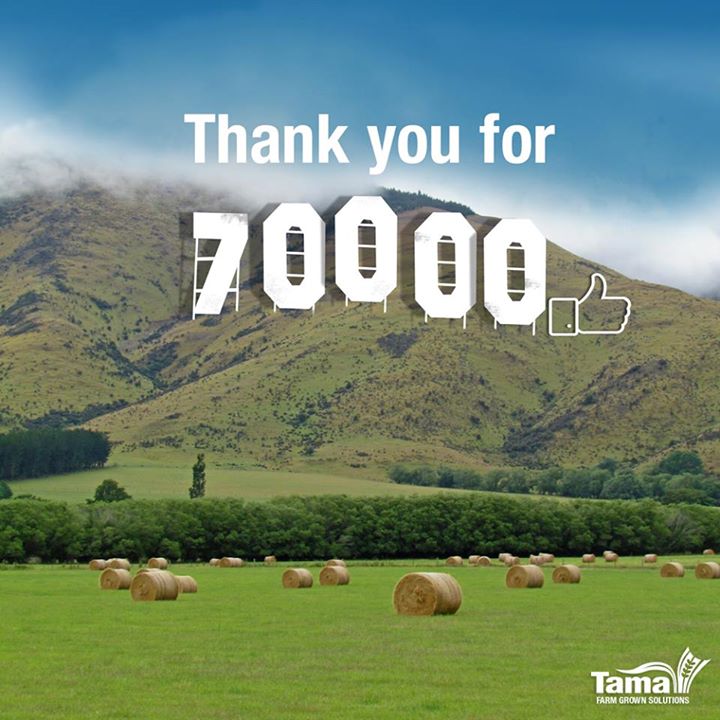 Thank you for 70000 likes
