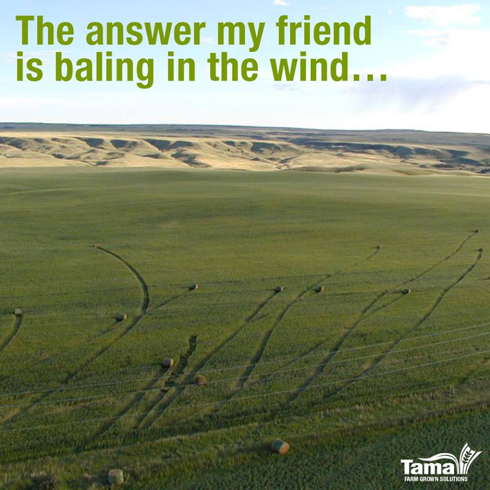 The answer my friend is baling in the wind