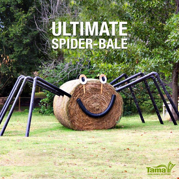 Ultimate spider-bale