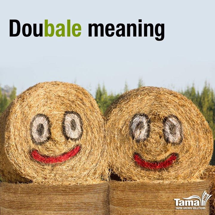 Doubale meaning