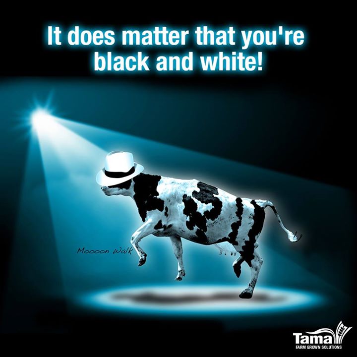 It does matter that you're black and white!