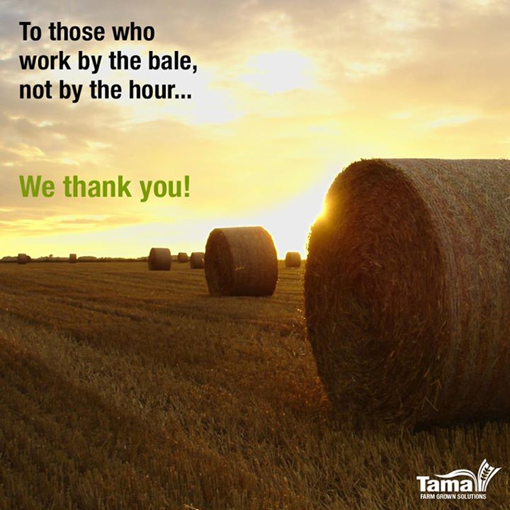 To those who work by the bale, not by the hour...