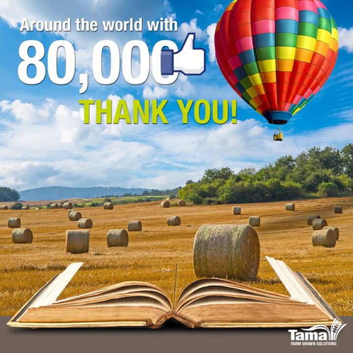 Around the world with 80,000 Likes