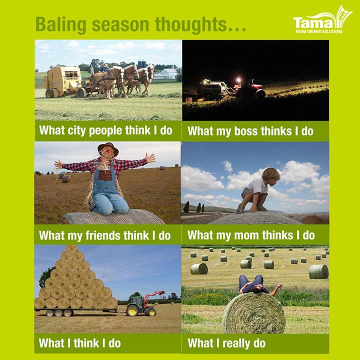 Baling season thoughts...