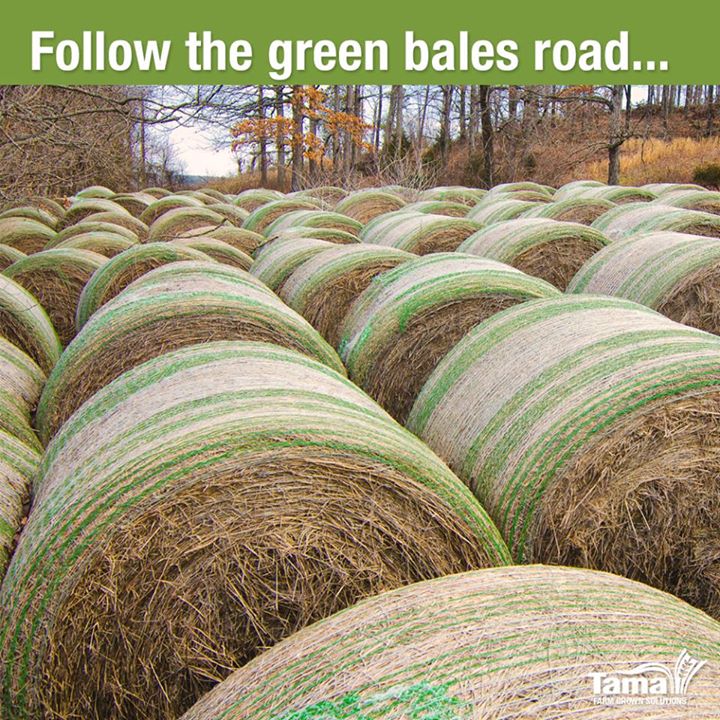 Follow the green bales road