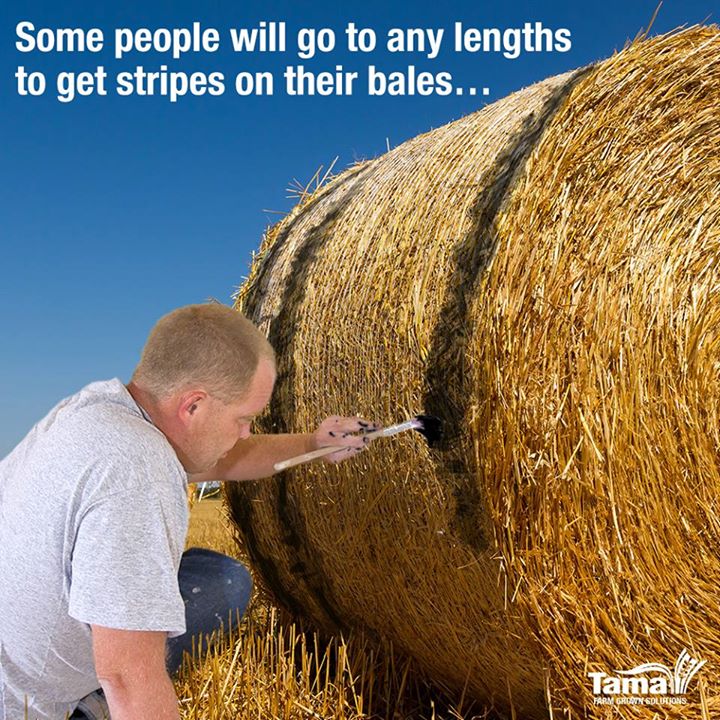 Get stripes