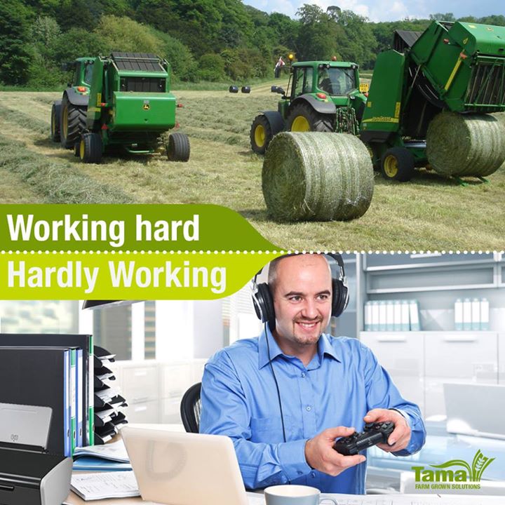 Hard working