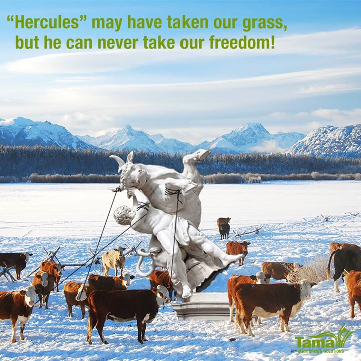 Hercules