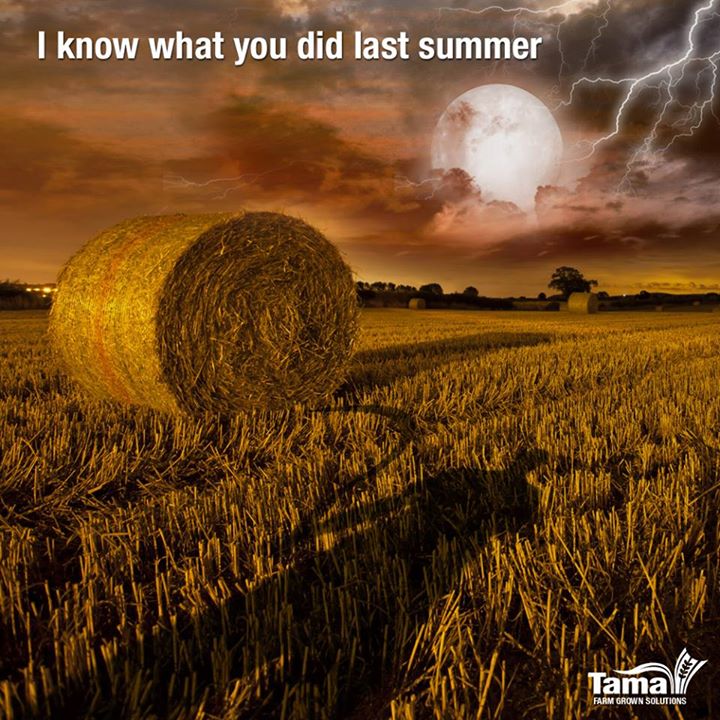 I know what you did last summer