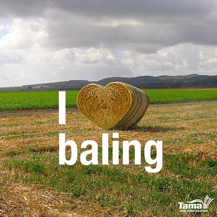 I love baleing