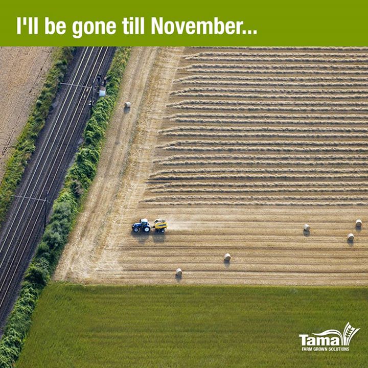 I'll be gone till November...