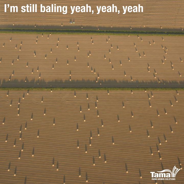 I'm still baling yeah