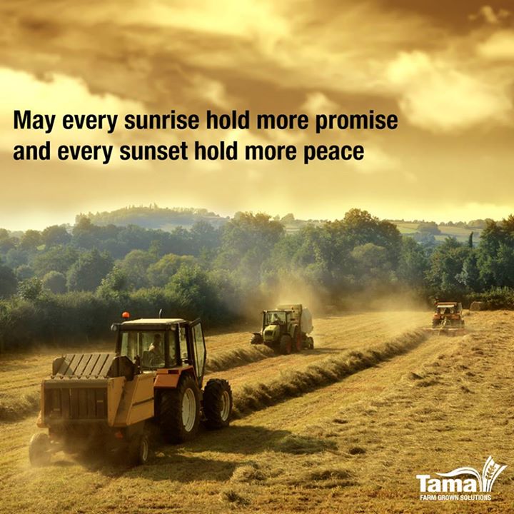 May every sunrise hold more promise and every sunset hold more peace