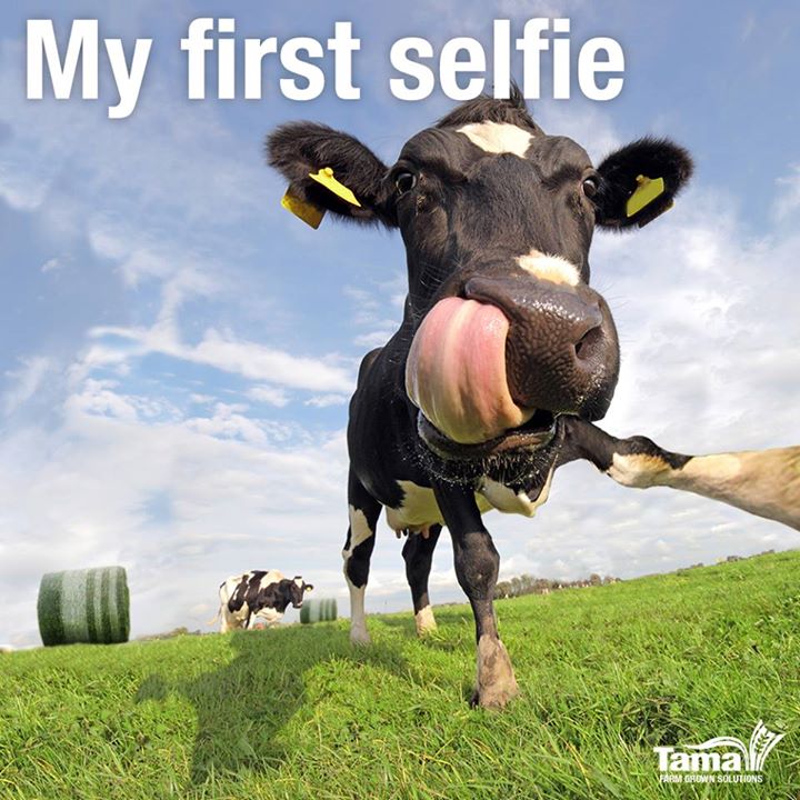 My first selfie