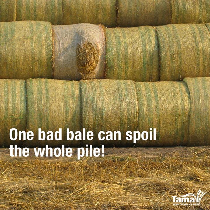 One bad bale can spoil the whole pile!
