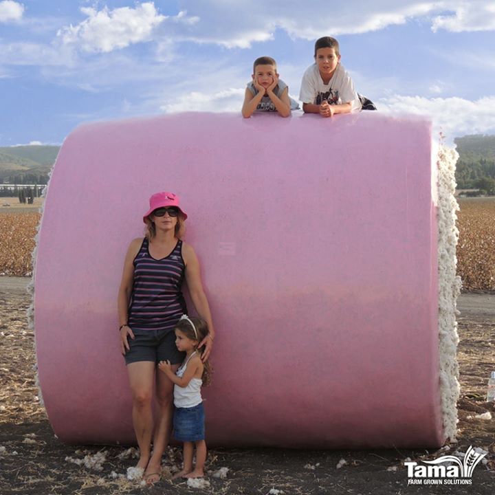 pink of health