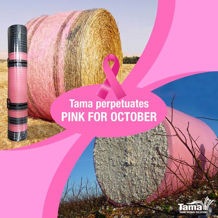 PINK FOR OCTOBER