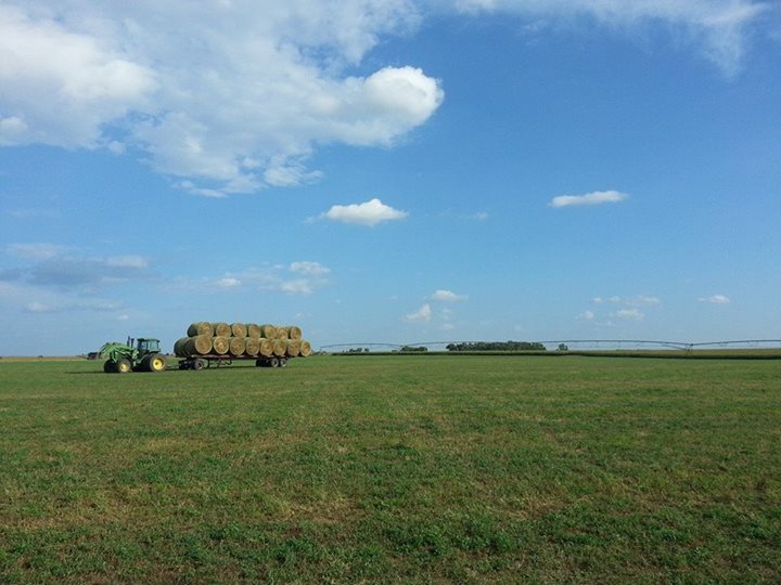 Peterson Farm Bros