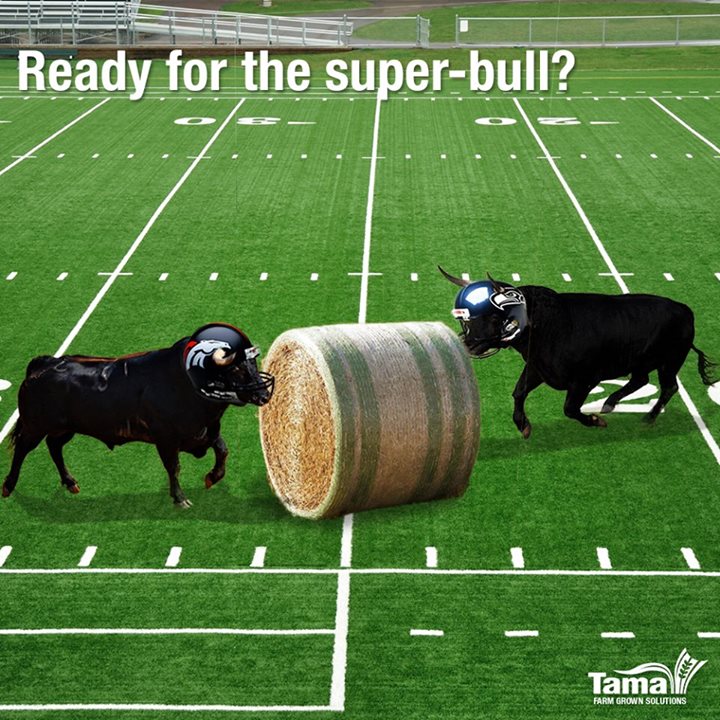 Ready for the super-bull