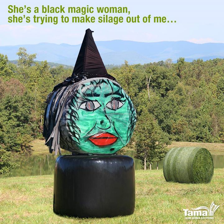 She's a black magic woman