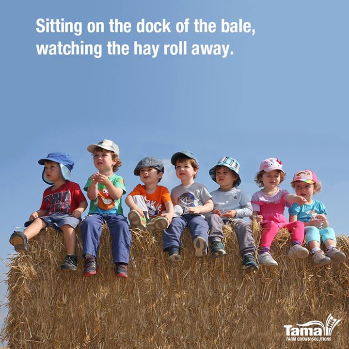 Sitting on the dock of the bale