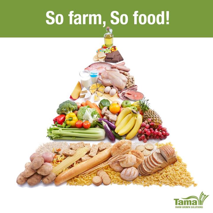 So farm, So food!