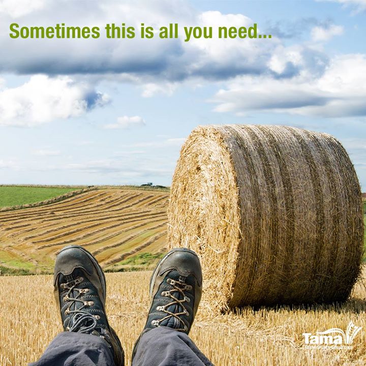 Sometimes this is all you need...
