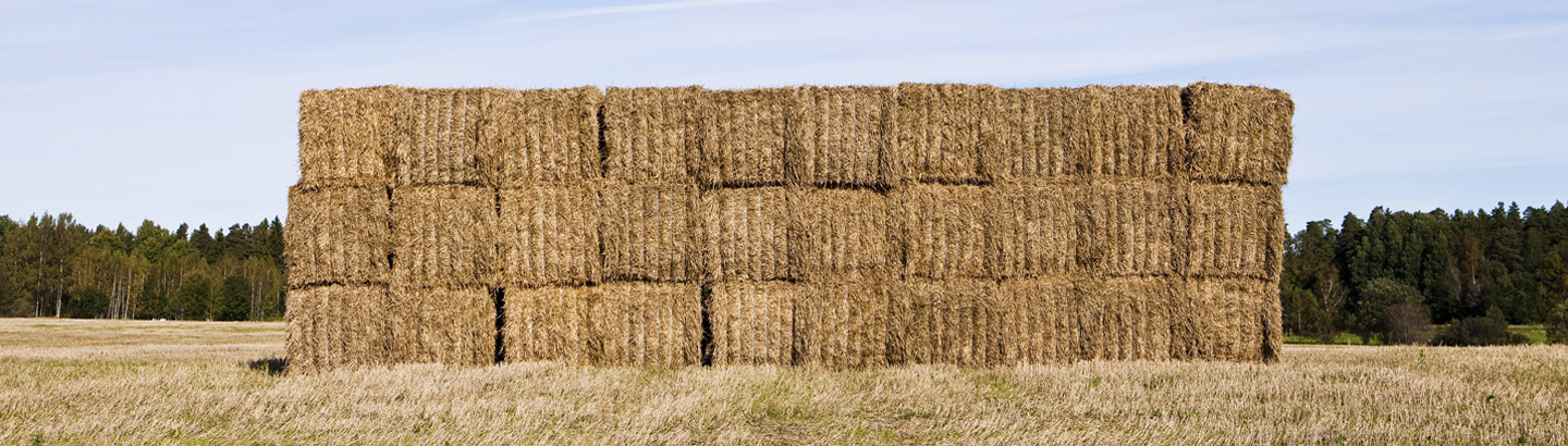 Tama LSB Baler Twine International