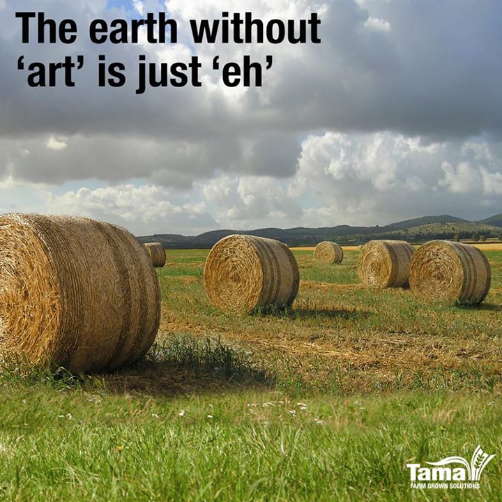 The earth without