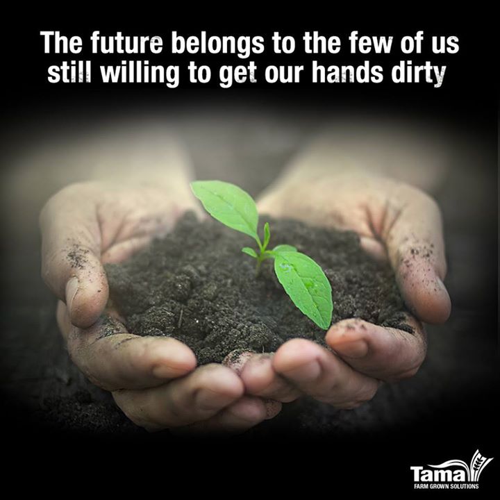 The future belongs to the few of us still willing to get our hands dirty