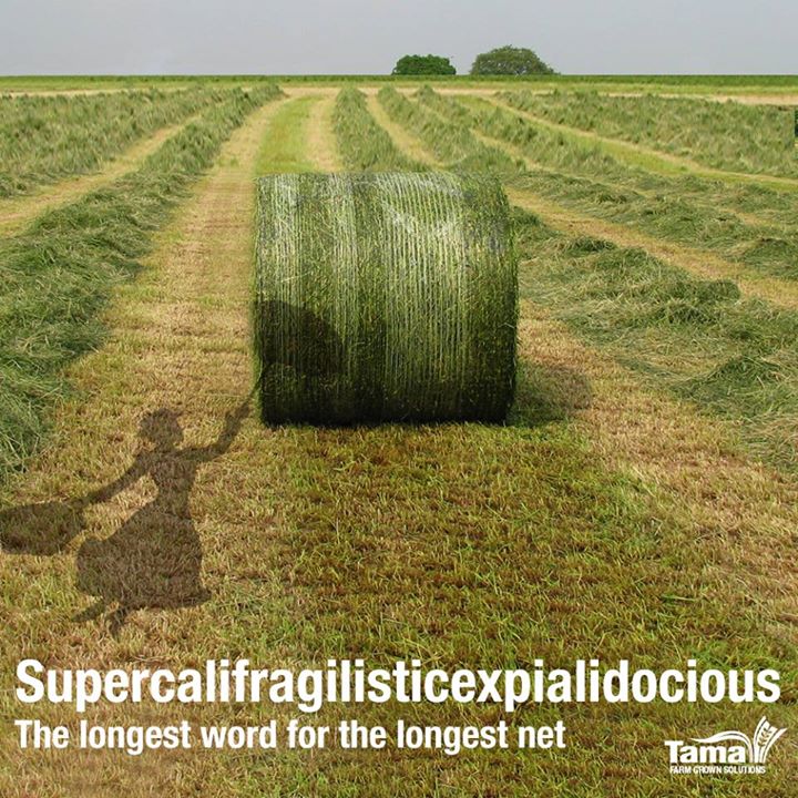 Supercalifragilisticexpialidocious! The longest word for the longest net...