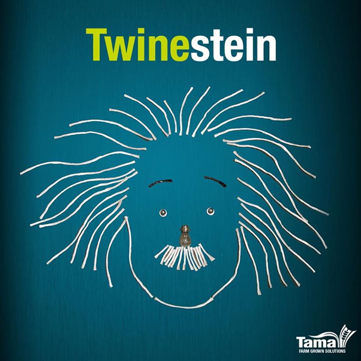 Twinestein