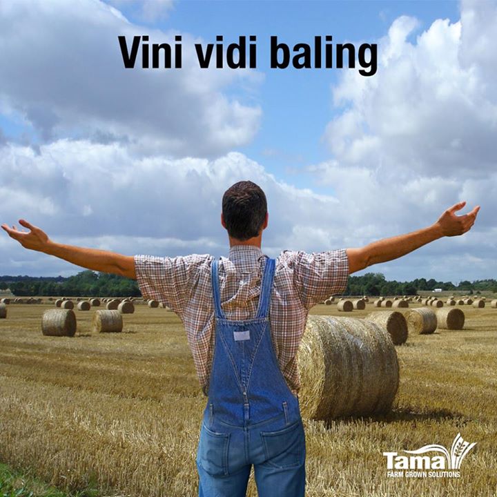 Vini vidi baling