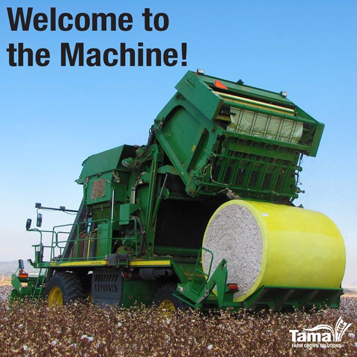 Welcome to the Machine!