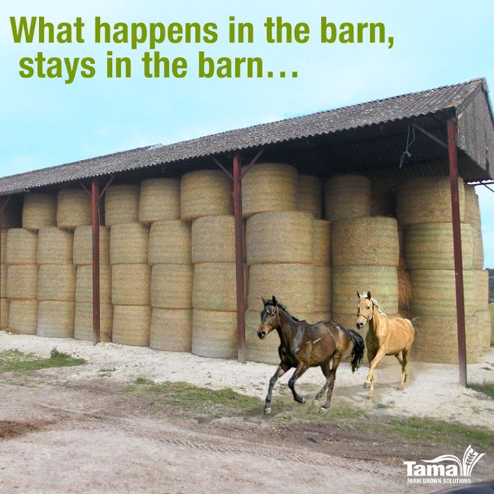 What happens in the barn, stays in the barn...