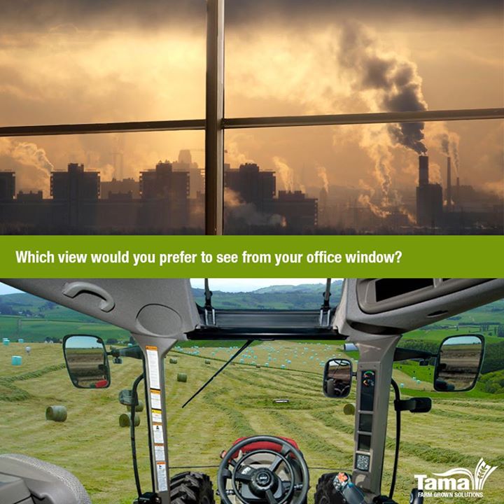 Which view would you prefer to see from your office window