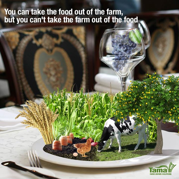 You can take the food out of the farm