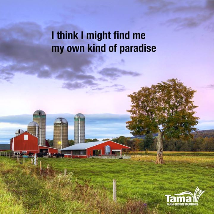 So, have you found it yet?