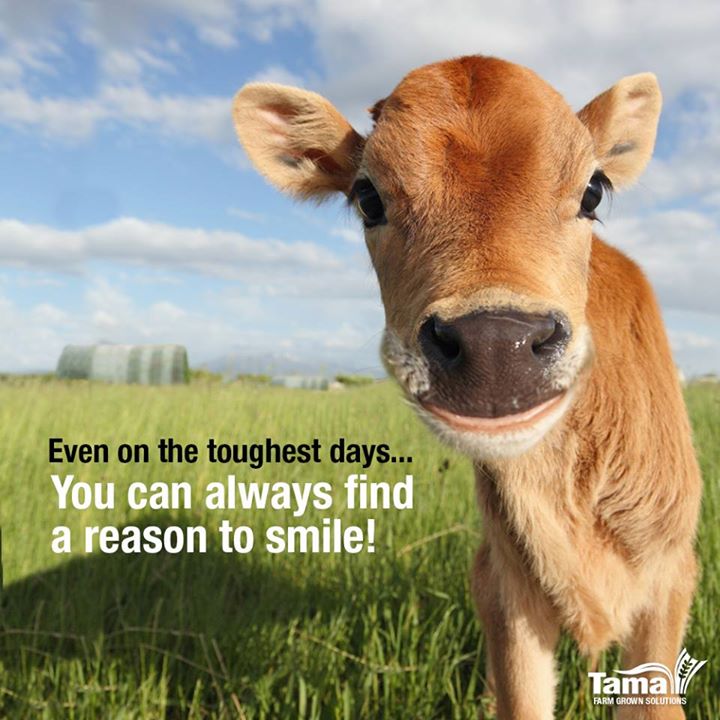 you can always find a reason to smile