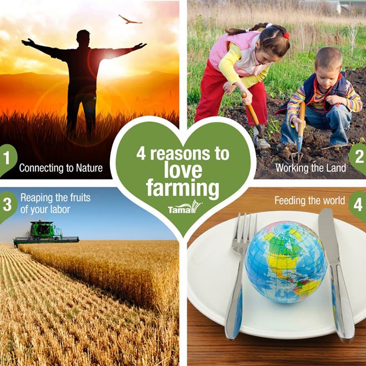 4 reasons to love farming