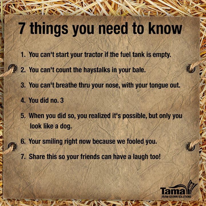 7 things you need to know