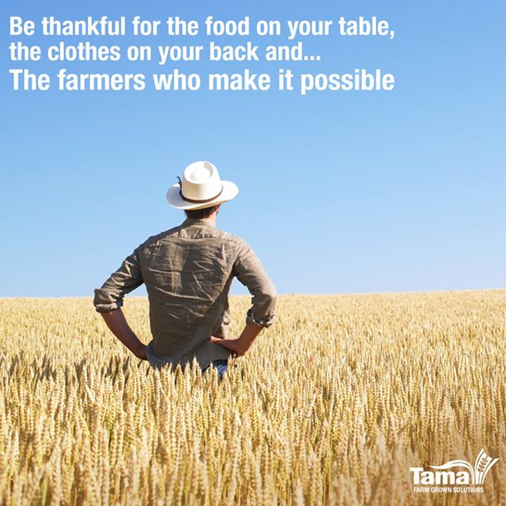 Be Thankful for the food on your table
