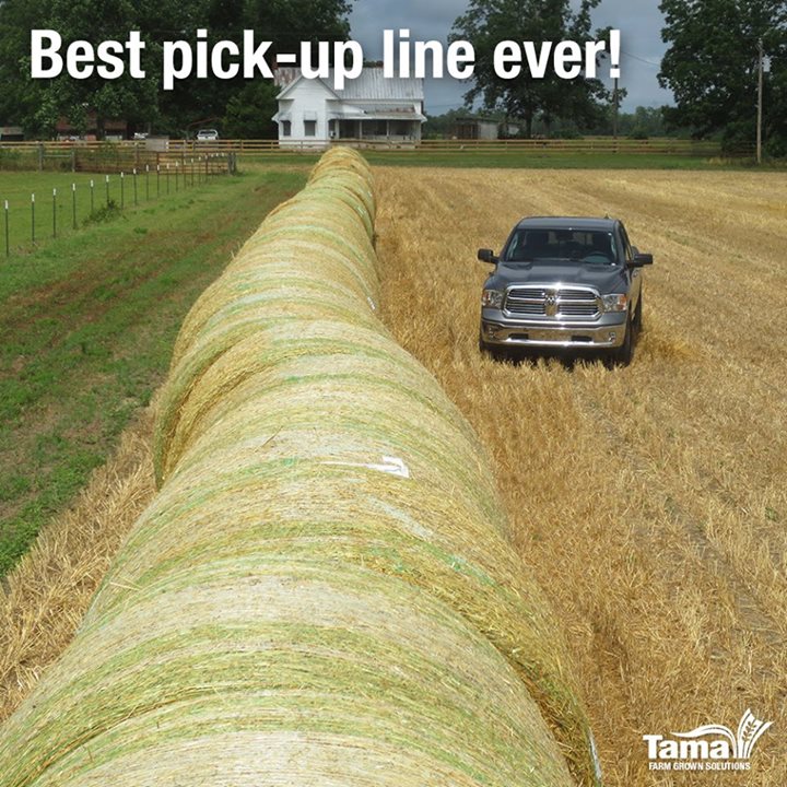 Best pick-up line ever